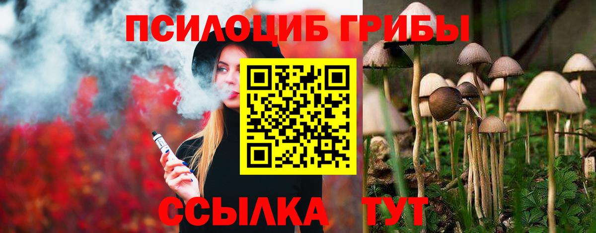 Галлюциногенные грибы Magic Shrooms Сосновый Бор