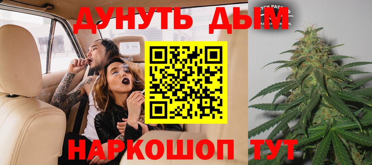 Бошки Шишки семена Сосновый Бор